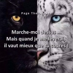 Meet your Posher, Eva